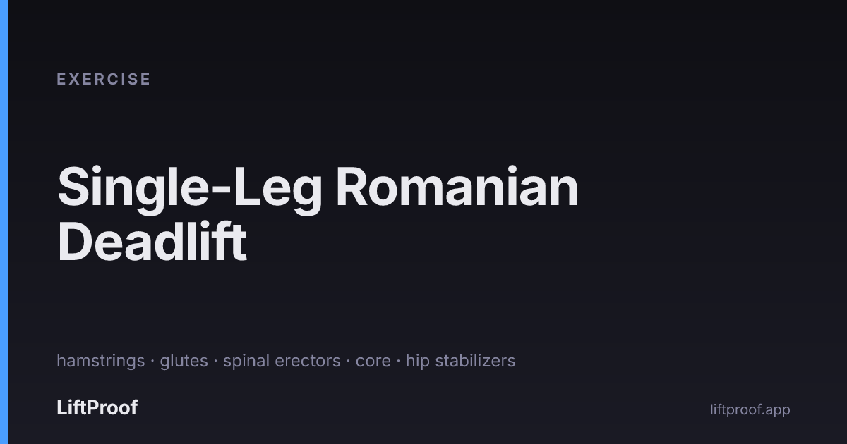 Single-Leg Romanian Deadlift — LiftProof Exercises | LiftProof